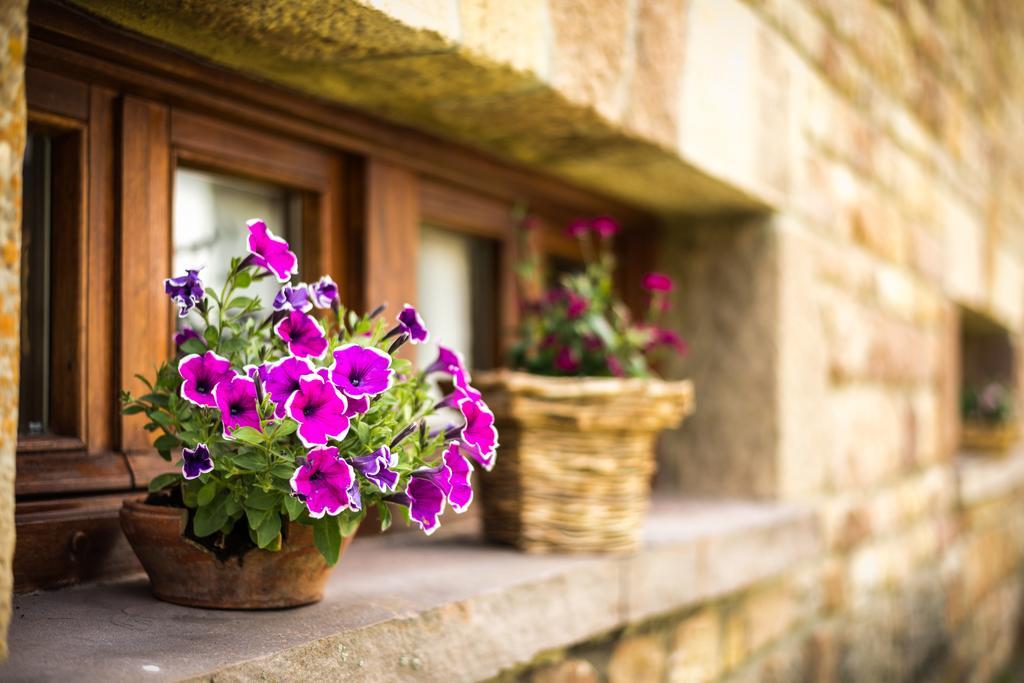 Casavieja Rural Villa Abiada Bagian luar foto
